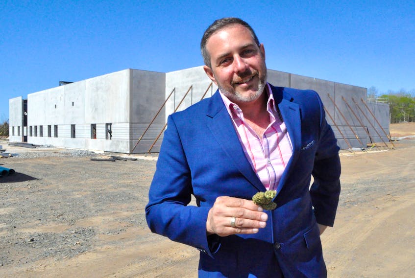 Robinson's Cannabis owner Andrew Robinson, who is also a licensed medical cannabis user, stands bud in hand at the new cultivation facility's construction.