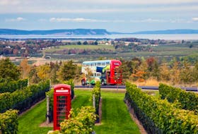 The Wolfville Magic Winery Bus winds its way down the South Mountain after a stop last fall at the Luckett Winery.
