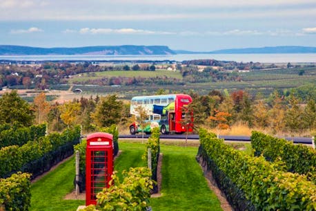 Annapolis Valley, N.S., businesses encouraged for upcoming tourism season despite high fuel prices