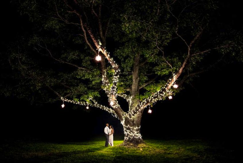 This flowing tree at the Healy Events and Weddings site in Kentville holds a special place in the hearts – and photo albums – of many.