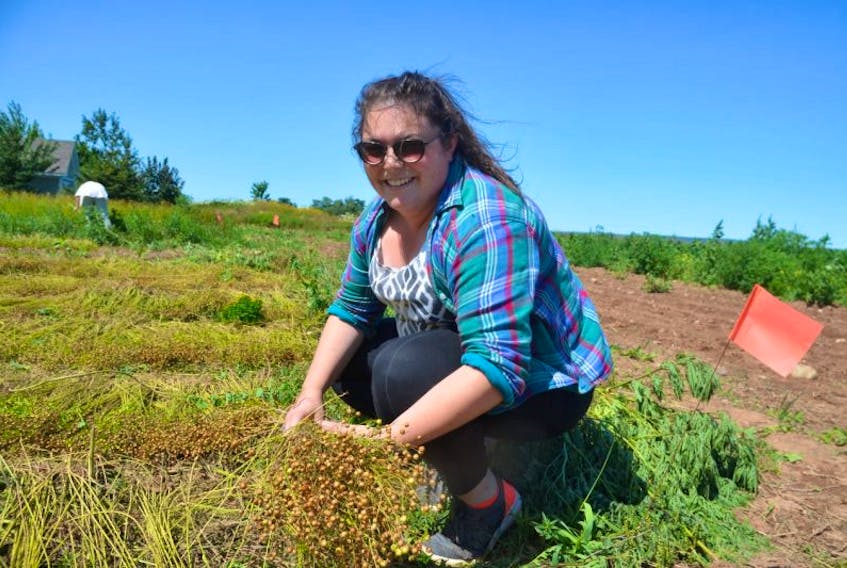 TapRoot Fibre Lab mill operator Rhea Hamlin of Kentville with some freshly pulled flax.