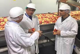Kings-Hants MP Scott Brison, centre, tours the Apple Valley Foods Inc. facility on Nov. 14, accompanied by chief financial officer John Pettet, left, and president Jeff Sarsfield, right.