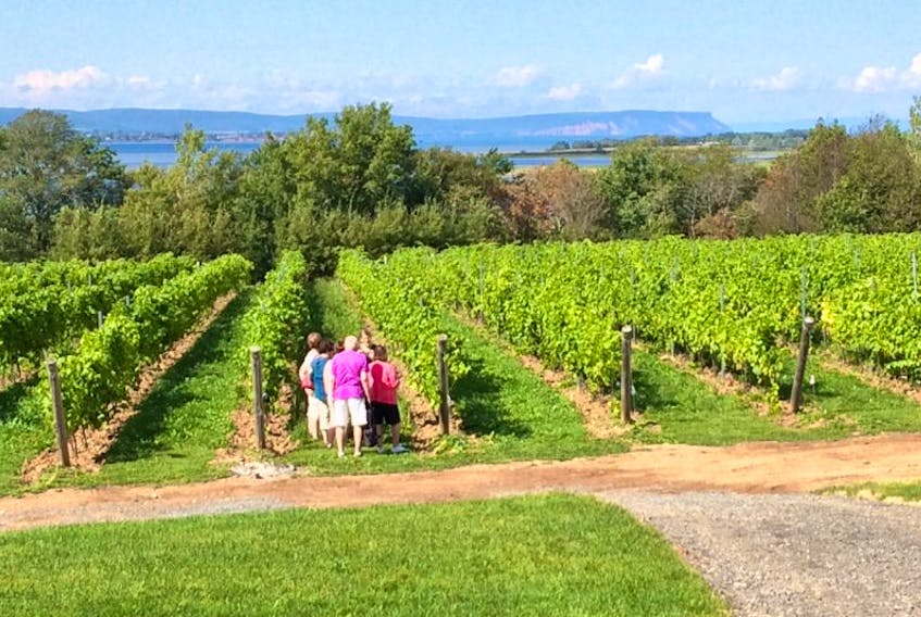Visitors are already enjoying the view plane and wine tasting at the new Lightfoot & Wolfville Winery.
