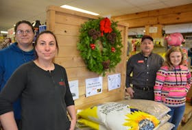 Scotian Gold retail associates Cynthia Brake and Jennifer McCamon, retail manager Rob Bedard and retail associate Shelby Smith are getting ready for Christmas in the Country.