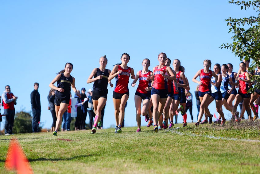 The Acadia Axewomen ran to a third-place finish in the Subway AUS Cross Country Championships. - NICK PEARCE