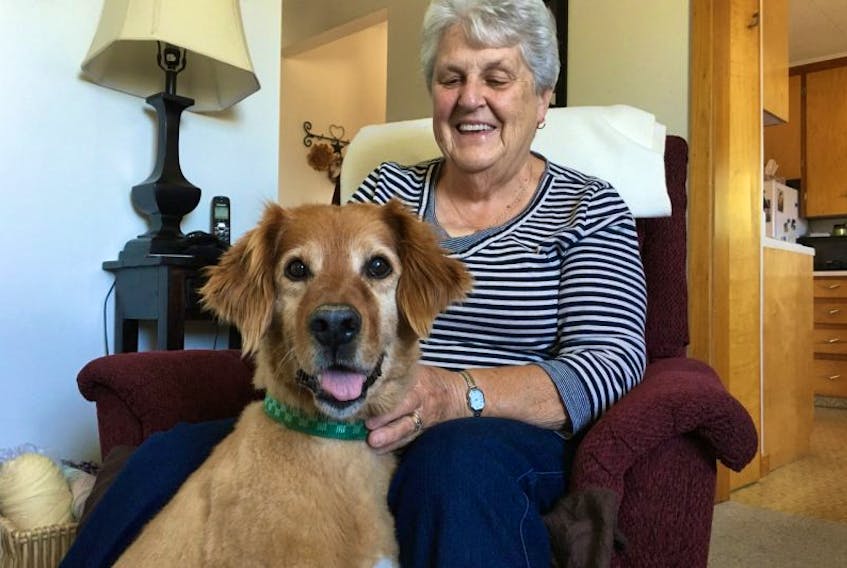 <p>Patricia Rhyno is the first to adopt a senior dog through ElderDog Canada Southwest Nova Pawd. She says 11-year-old Champ is a wonderful companion.</p>
<br />
