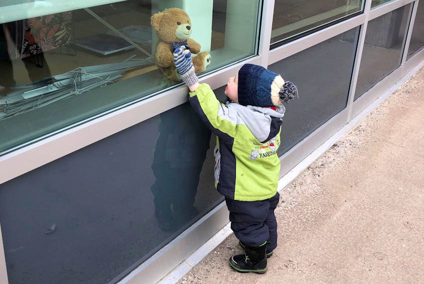 Lucas MacInnis, 2, looks at a bear in the window of New Glasgow Academy. ADAM MACINNIS/THE NEWS