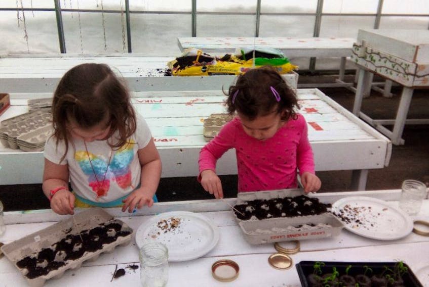 Kindergarten French Immersion students, Lydia Rashleigh and Lilah Keough, plant small seeds in the greenhouse this week for Earth Day.