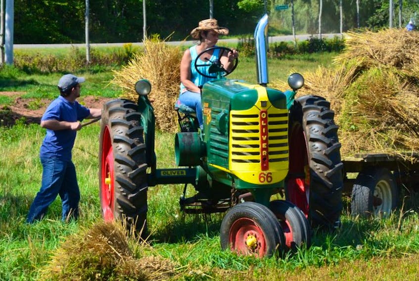 Sam Neatby and Cherrie Wright of Barss Corner help with the harvesting of the oat crop at the Northville Farm Heritage Centre Harvest Fest. As Wright drove an antique tractor, Neatby followed along using a pitchfork to load the wagon.