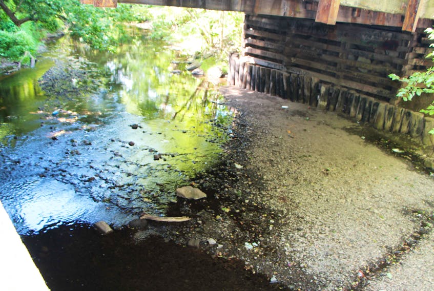 There isn't a lot of water flow under Whidden's Bridge in downtown Antigonish. A souvenir of a dry, hot summer.