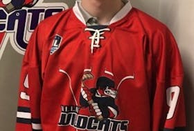 The Valley Wildcats selected forward Ethan Landry first overall in Saturday’s MHL draft. (CONTRIBUTED)