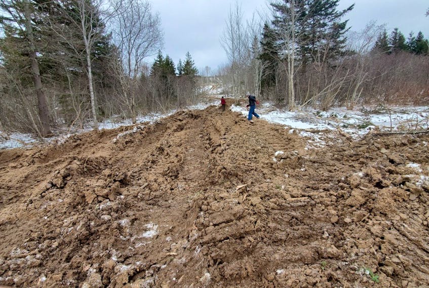 A shot taken in mid-January, 2021 of a clearcut in the West Lake Ainslie area of Cape Breton. CONTRIBUTED