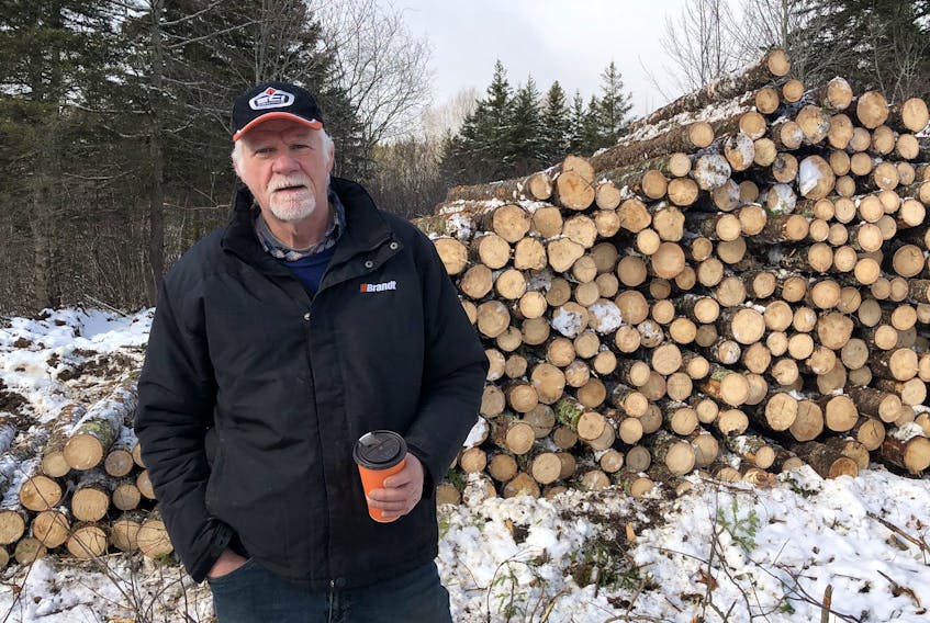 Wayne Gillis, president of Margaree Excavating Limited, stands in front of a clearcut done by his company in the West Lake Ainslie area of Cape Breton. JESSICA SMITH/CAPE BRETON POST