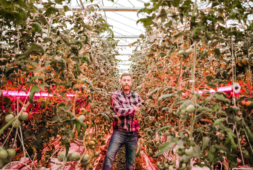 Luke den Haan, CEO of den Haan Greenhouses in Lawrencetown, is shown with the high-tech LED lighting installed to reduce energy costs and increase production. – Photo by Michelle England