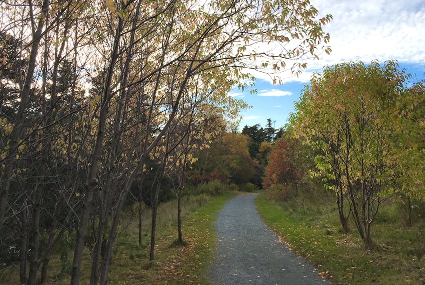 The Virginia River trail in St. John’s. — Contributed