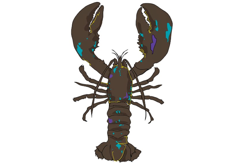 lobster-belle-now-jan5