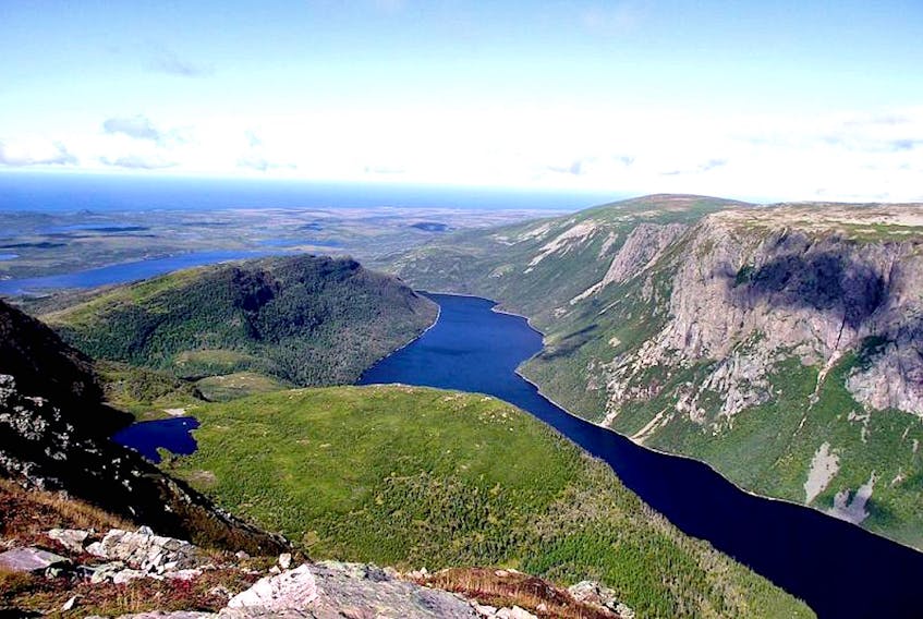 Gros Morne National Park attracted more than 2 million visitors in the last decade. The numbers will be down this year because of the COVID-19 pandemic, but the count of Newfoundlanders and Labradorians visiting the park could go up.