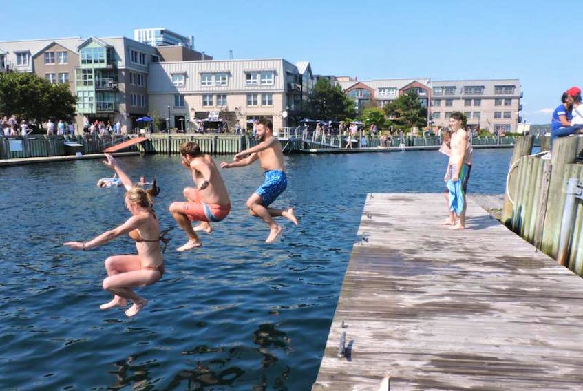 The Big Jump attracted dozens of participants for an urban swim in Halifax harbour on Sunday.