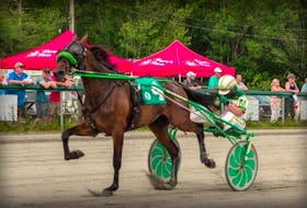 Mabou Ridge and Clare MacDonald trotted the fastest mile in the history of Northside Downs as the three-year-old posted a time of 1:59.3 as part of the Atlantic Sire Stakes on Saturday at the North Sydney facility. TANYA ROMEO • CONTRIBUTED