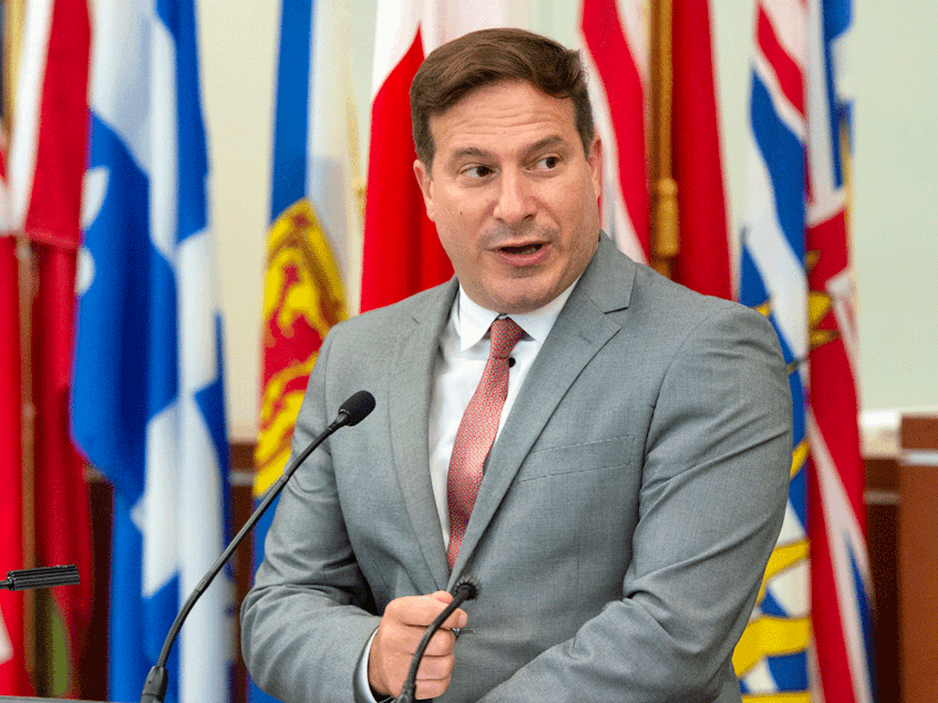 Federal Immigration Minister Marco Mendicino said people with expired COPRs are being contacted by IRCC to help them renew their document. - Ryan Remiorz/The Canadian Press/File