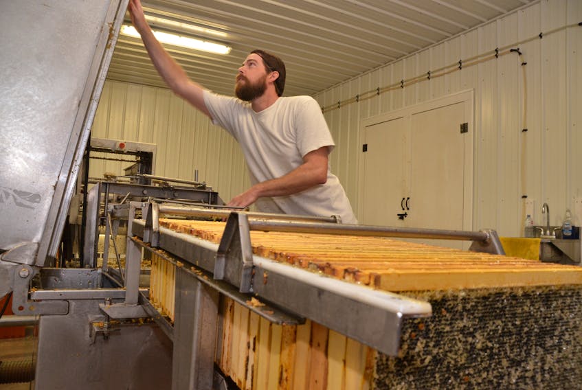 Ben Cornect extracts the last batch of honey for the season from hives at Cornect Family Farm in Denver, Guysborough County, on Friday, Nov. 1, 2019.
