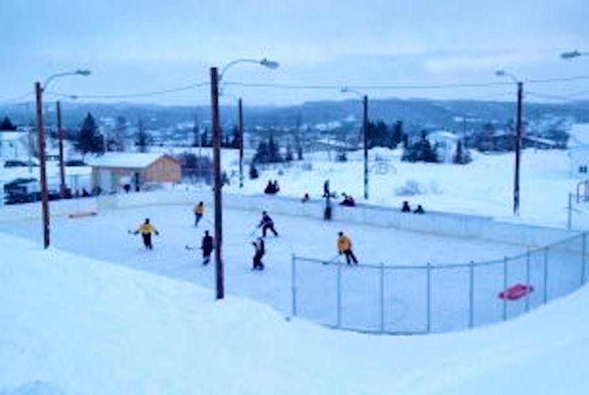 ['The outdoor community rink in Meadows is shown in February 2015.']