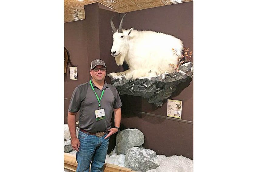 <p>Michael Swyers, a former resident of Stephenville Crossing now living in Quesnel, British Columbia, stands next to his mounted trophy goat that won him two Boone and Crockett Club Big Game Awards.</p>