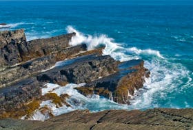 Mistaken Point Ecological Reserve. –Photo submitted by Newfoundland and Labrador Tourism.