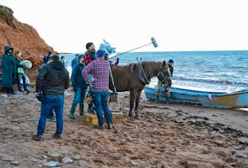 Misty the horse was calm and co-operative as cast and crew set up a scene on a North Cape, P.E.I. beach in 2016, while shooting a proof-of-concept film,  “A Blessing From the Sea”. The production company is still securing the funding needed to shoot a feature film. ERIC MCCARTHY/JOURNAL PIONEER