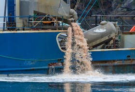 Waste is pumped overboard during part of the cleanup of a massive die-off on more than two million salmon off the coast of Newfoundland in 2019.