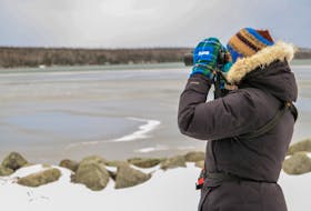 Monique Vassallo looks through her binoculars at some Iceland gull across the bayside in River Ryan, at the sixth annual Harbour Hop in New Waterford on Sunday. JESSICA SMITH • CAPE BRETON POST