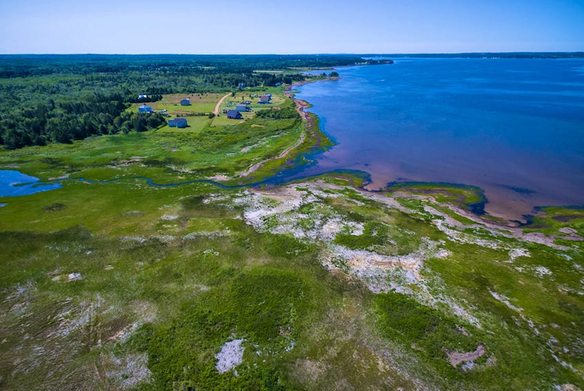 A view from a drone of the land, dune system and watershed that the NCC wants to conserve. It will spend the winter raising money to purchase the land from the owner. SUBMITTED PHOTO