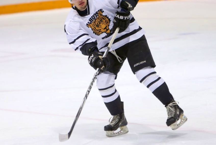 Myles McGurty, shown here in the uniform of the Dalhousie Tigers for whom he played before Christmas, is the newest member of the Valley junior A Wildcats. The Wildcats obtained the MHL rights to McGurty, a 6’1”, 200-pound defenceman, from Miramichi Jan. 6. Before joining Dal for the 2013-2014 season, the New Jersey native played for Moncton, Acadie-Bathurst and Chicoutimi of the QMJHL. 