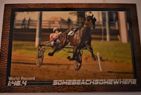 A special souvenir card commemorating Somebeachsomewhere's world record mile of 1:46.4, in 2008 at the Red Mile in Lexington, Kentucky. The driver is Paul MacDonell. 