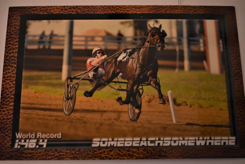 A special souvenir card commemorating Somebeachsomewhere's world record mile of 1:46.4, in 2008 at the Red Mile in Lexington, Kentucky. The driver is Paul MacDonell. 