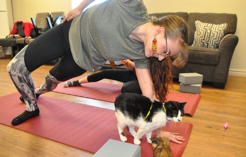 Sabrina Muise, the young woman heading up a new cat yoga program in Stephenville entitled Paws & Reflect, is seen trying one of the moves under the instruction of Jeffrey Young. Both are members of Ka' qawej Community Media Partnerships program, which started the program in Stephenville. FRANK GALE/ THE WESTERN STAR