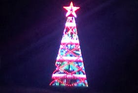 This Christmas tree on the Vale Road is attracting lots of attention already this year.