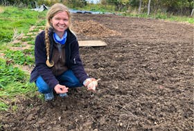 Estelle Levangie, owner of Thyme for Ewe Farm in Millville, kneels in the garlic garden which is ready for planting and ready for the upcoming garlic growing workshop Levangie is holding as part of The Culture Exchange pilot program. NICOLE SULLIVAN/CAPE BRETON POST 