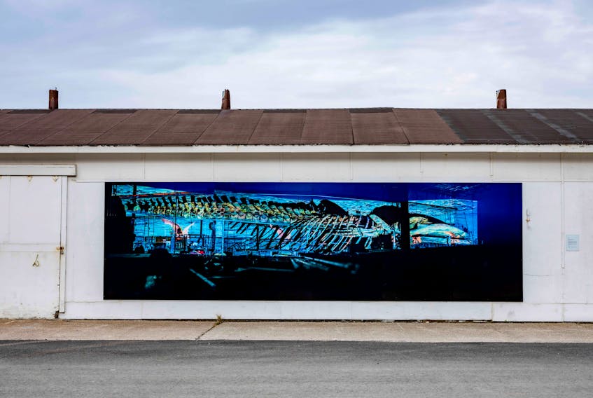 "Still Life III (Narratives of Loss)" depicts the skeletal remains of a blue whale that landed ashore in Trout River in 2014. The art is depicted along the wall of Trout River's fish plant. CONTRIBUTED