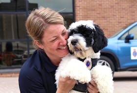 Stella, an 18-week-old Portuguese water dog who works with the RNC, with her handler, Const. Krista Fagan, who said she is thankful for the opportunity to work with the pup. – Andrew Waterman/The Telegram 