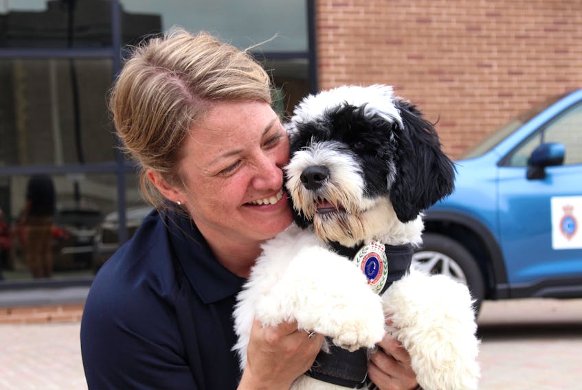 Stella, an 18-week-old Portuguese water dog who works with the RNC, with her handler, Const. Krista Fagan, who said she is thankful for the opportunity to work with the pup. – Andrew Waterman/The Telegram 