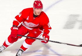 Danny Cleary spent the bulk of his NHL career with the Detroit Red Wings, capturing an NHL championship with that team in 2008, In doing so, Cleary became the first player from Newfoundland to win a Stanley Cup. — nhl.com