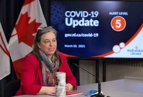 Chief Medical Officer of Health Dr. Janice Fitzgerald speaks during a live video briefing Wednesday in St. John's.