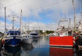 Newfoundland and Labrador's economy was built on the fishery and remains heavily linked to the ocean through offshore oil activity. But the water is pretty murky when it comes to assessing the province's sustainability. — SaltWire Network file photo