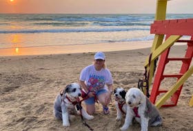 Melanie Carmichael has been missing her dogs, Casey, Panda and Rocky, as she recovers from COVID-19. The Newfoundland born woman is a nurse in Harlingen, Texas.