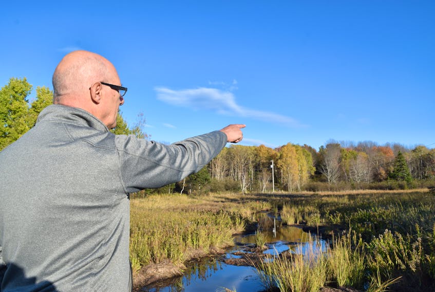 William Rowsell points to an area near his Pictou Landing where pollution from a ruptured Northern Pulp has invaded this tidal wetland.