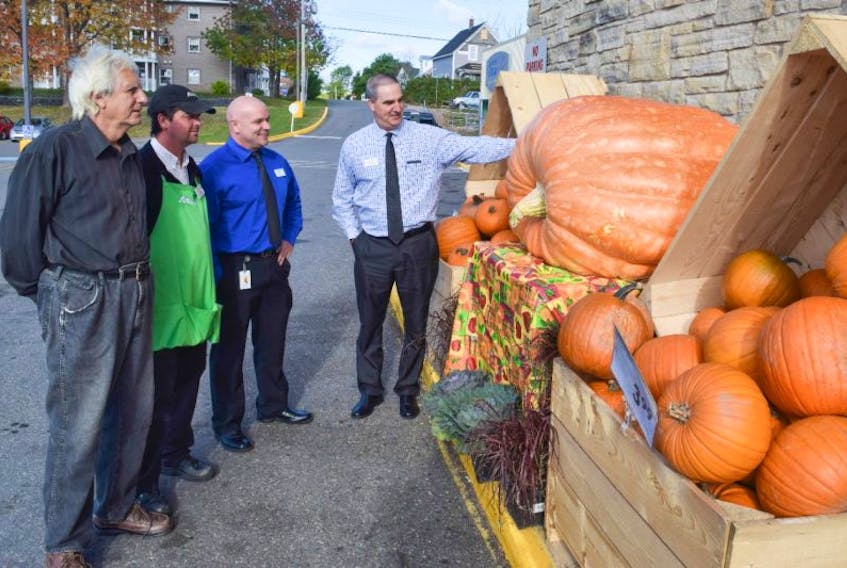 Tom Dudka of Linacy has his giant pumpkin on display at the Aberdeen Sobeys. It weighs about 820 pounds. From left are: Dudka, produce manager Patrick Hickey, produce specialist Martin Mydean and Aberdeen Sobeys manager Gerald MacCallum.