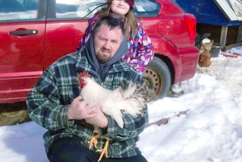 Tasha MacDonald’s husband John Campbell and their daughter Madalynn pose for a picture with one of the roosters they helped rescue in New Glasgow.