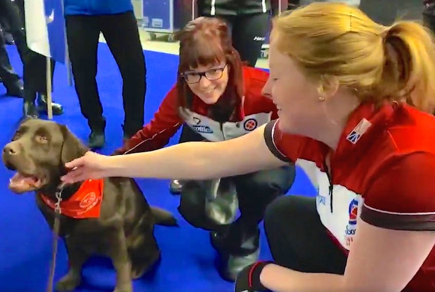 Newfoundland and Labrador skip and third Erin Porter (right) are introduced to a therapy dog before teams walked out for introductions prior to morning draw Monday at the 2020 Scotties Tournament of Hearts Canadian women’s curling championship in Moose Jaw, Sask. — Curling Canada/Twitter