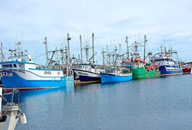 ['Fishing boats tied up at Catalina Harbour in 2015. Catalina is a point of departure for the inshore fleets during the crab and shrimp fishing seasons.']